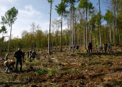 A rothos tanárok is bekapcsolódtak az erdősítési munkákba