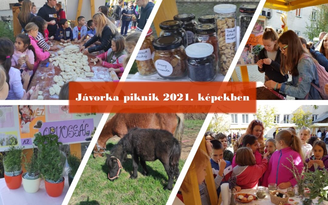 Jávorka Piknik 2021