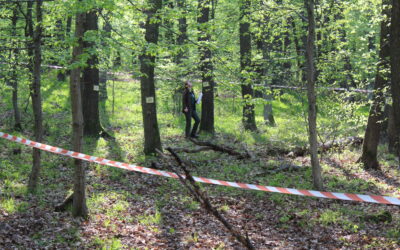 Sopron rendezte az erdésztechnikus OSZTV-t